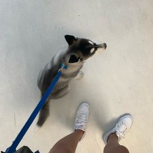 Meet your Posher, Estee